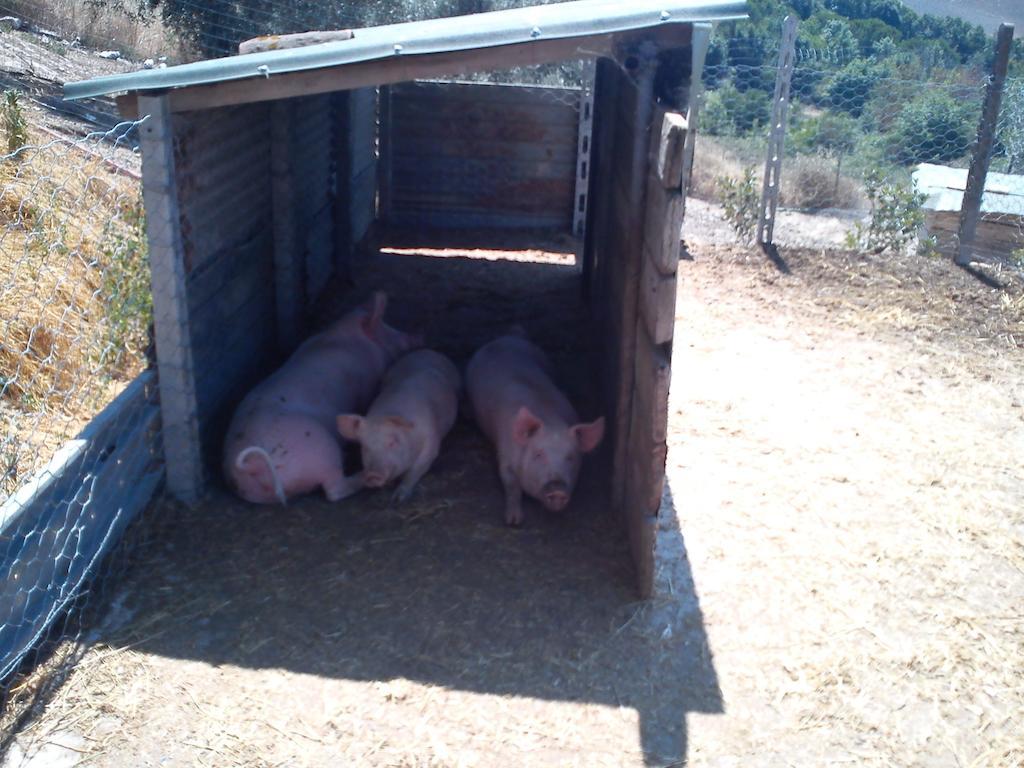 Vakantieboerderij Santa Chiara